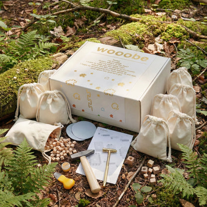 Wooobe Premium Kit