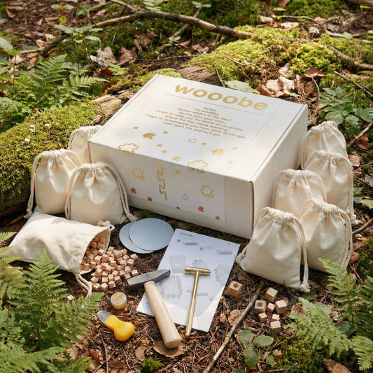 Wooobe Premium Kit