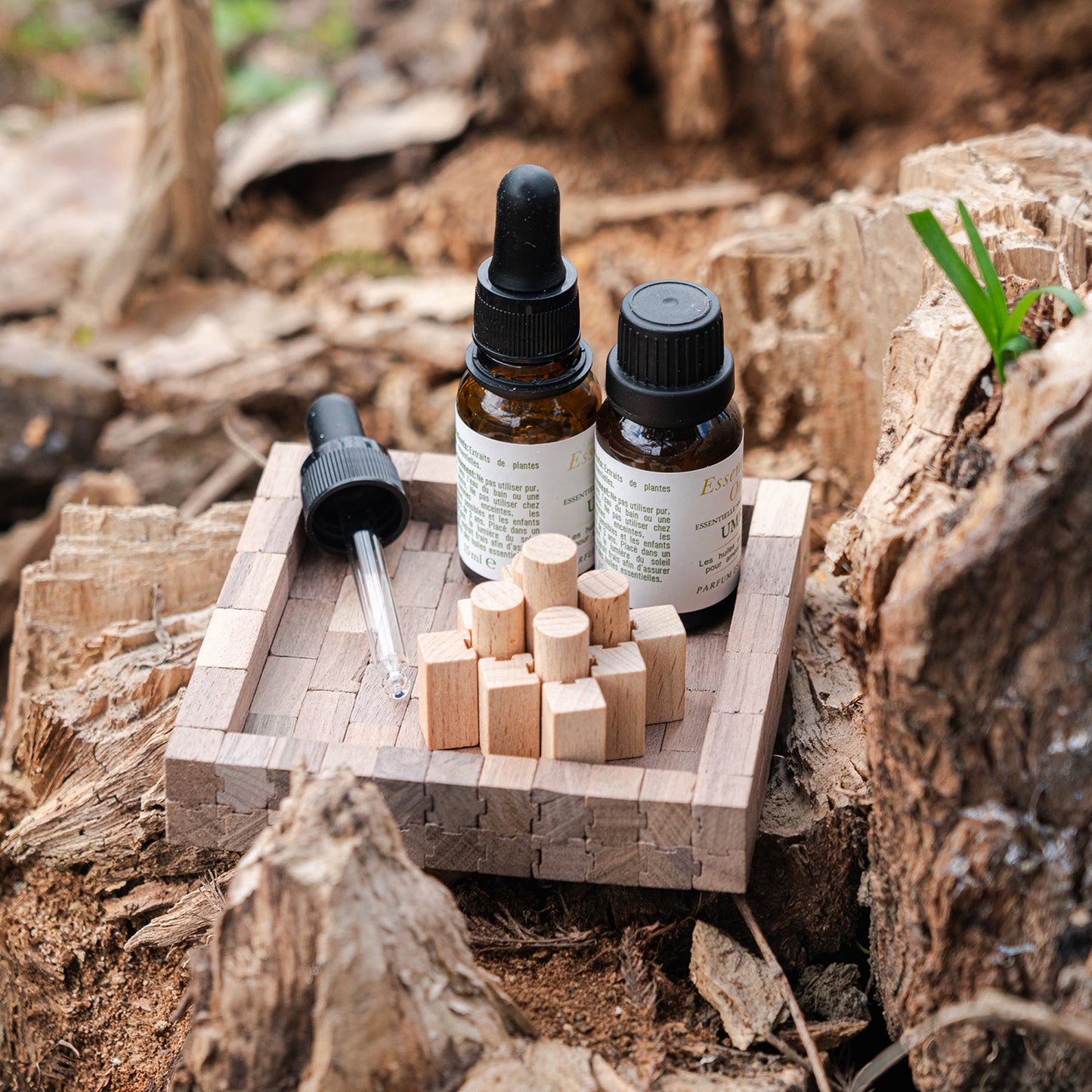 Aroma Diffuser Set