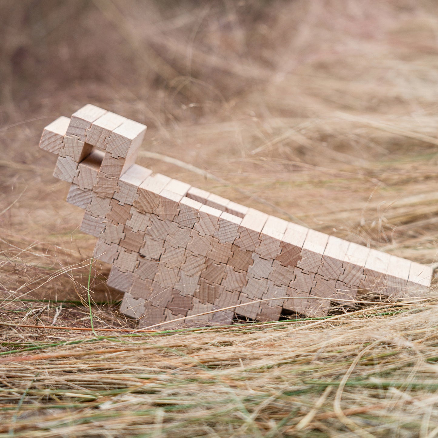Bird Piggy Bank
