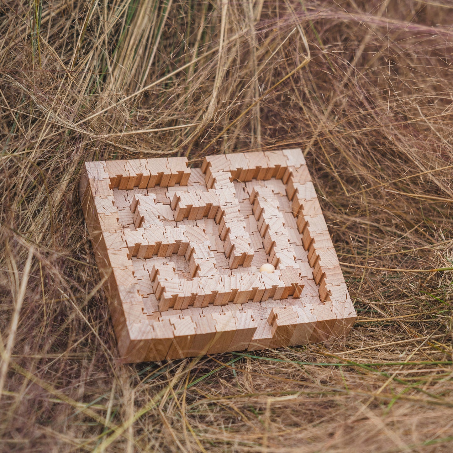 Palm Maze