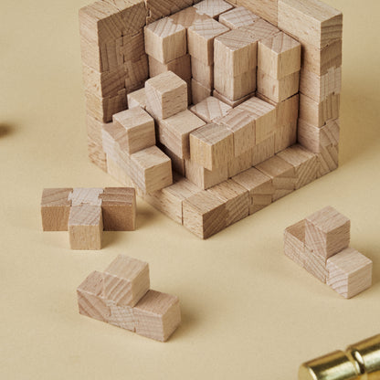 Soma Cube(4x4)