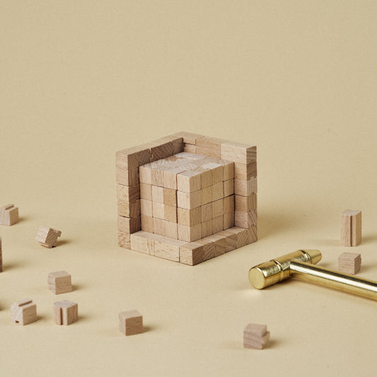 Soma Cube(4x4)